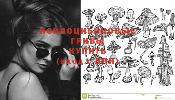 спиды Беломорск
