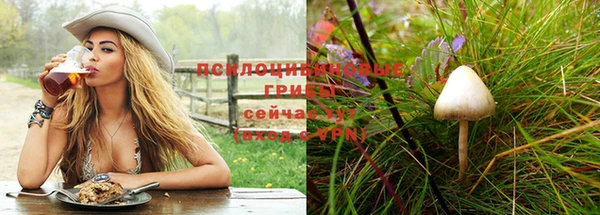 спиды Беломорск