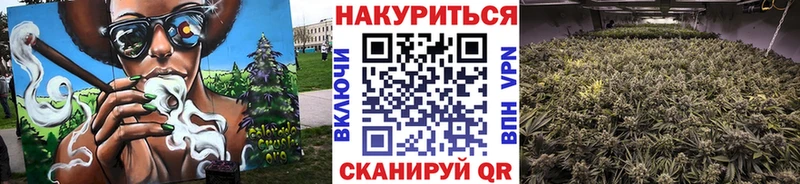 Конопля Amnesia  наркошоп  Кохма 